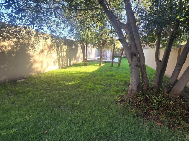 place photo 52
