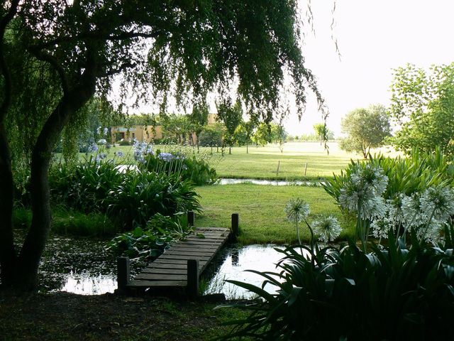 place photo 26