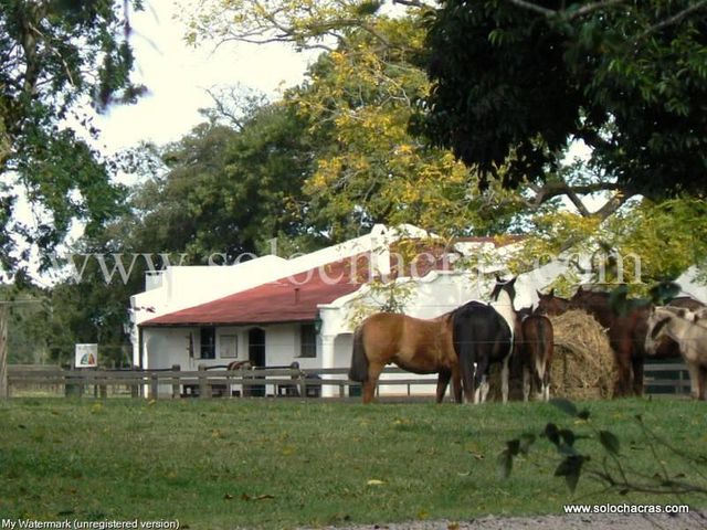 place photo 36