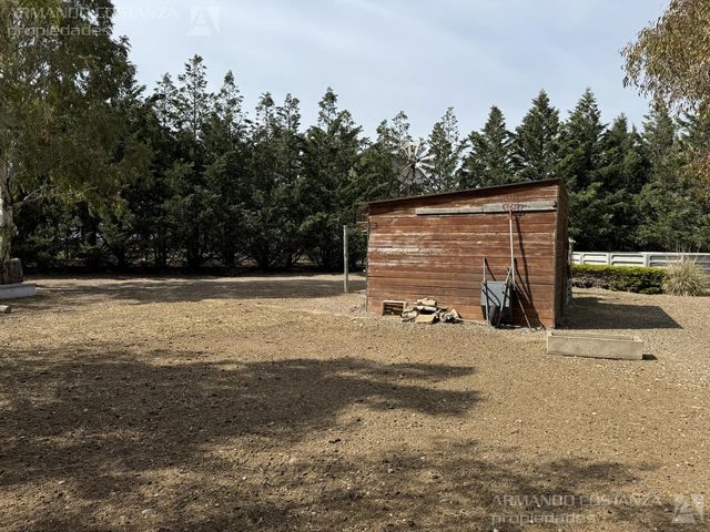 place photo 28