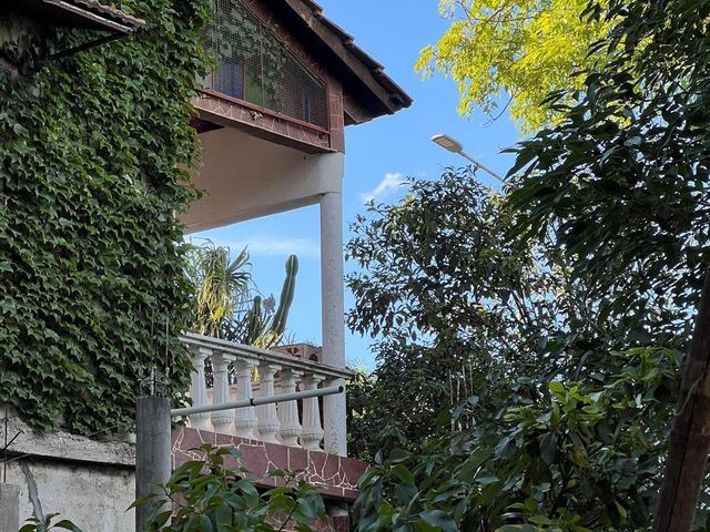 place photo 55