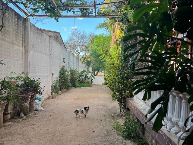 place photo 67