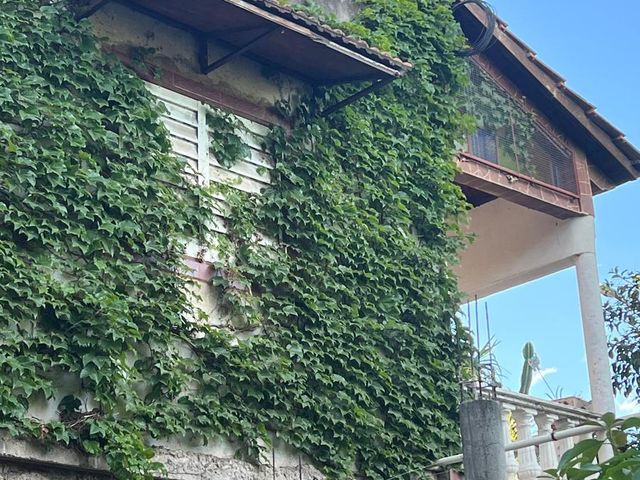 place photo 56