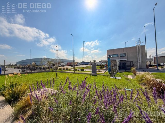 place photo 27