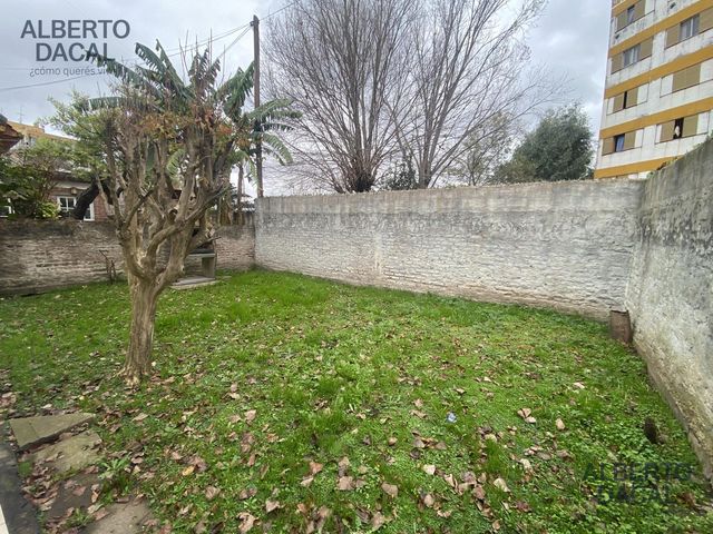 place photo 43