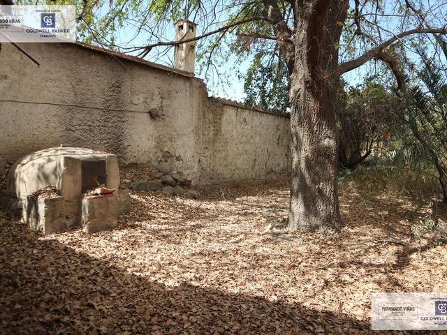 place photo 19