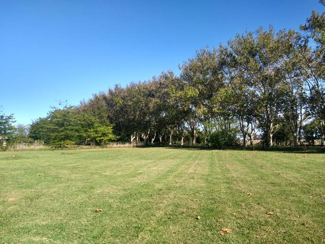 place photo 37