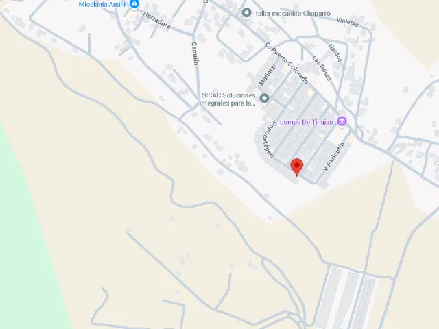 place photo 9