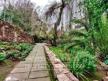 place photo 29