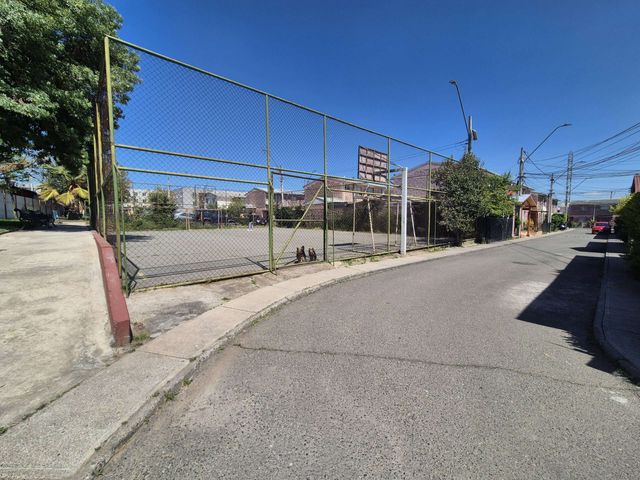place photo 24