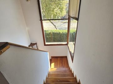 place photo 52