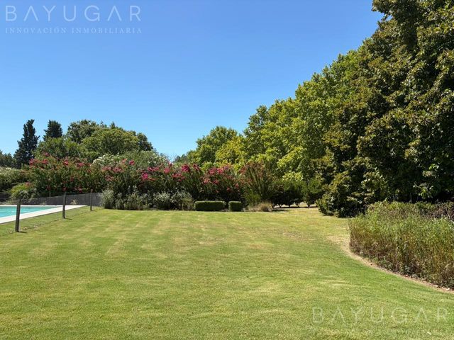 place photo 37