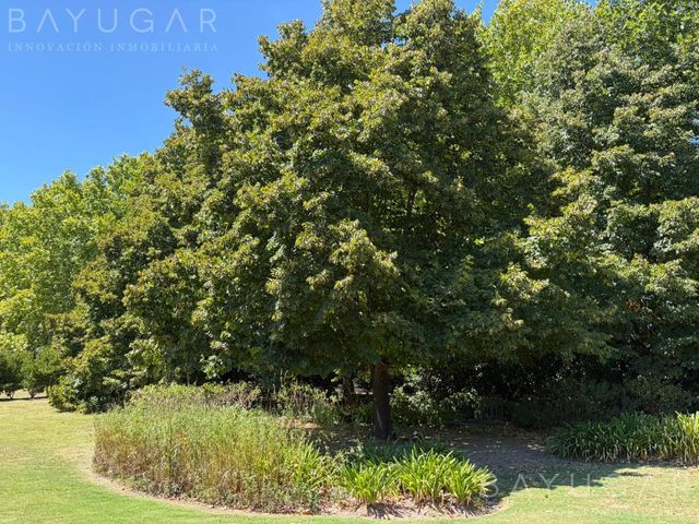 place photo 38
