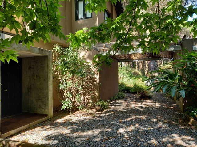 place photo 62