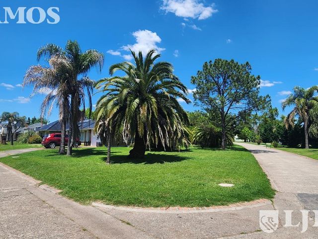 place photo 18