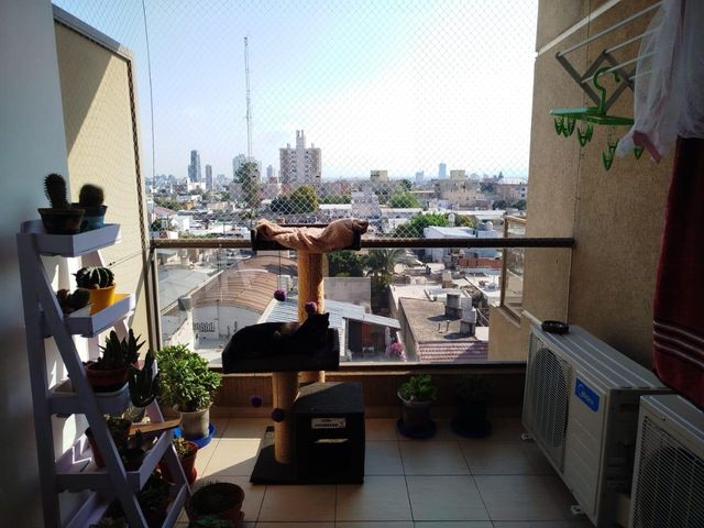 place photo 11