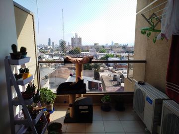 place photo 11