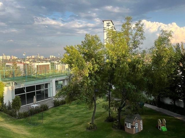 place photo 23