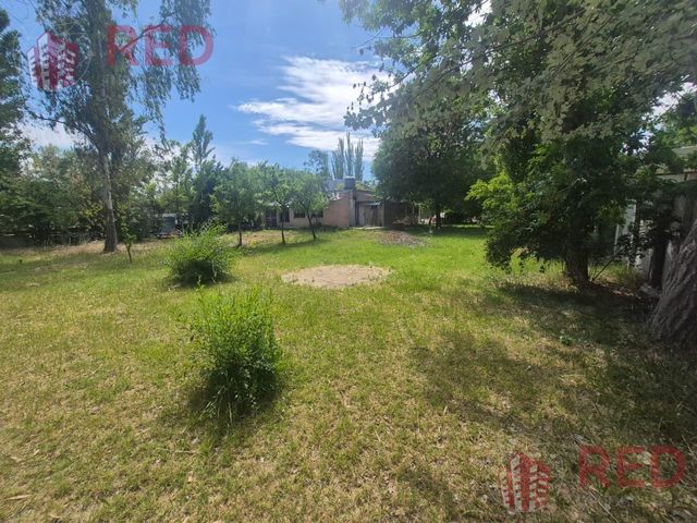 place photo 43