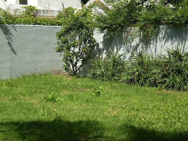 place photo 42