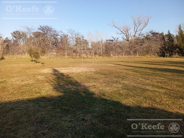 place photo 7