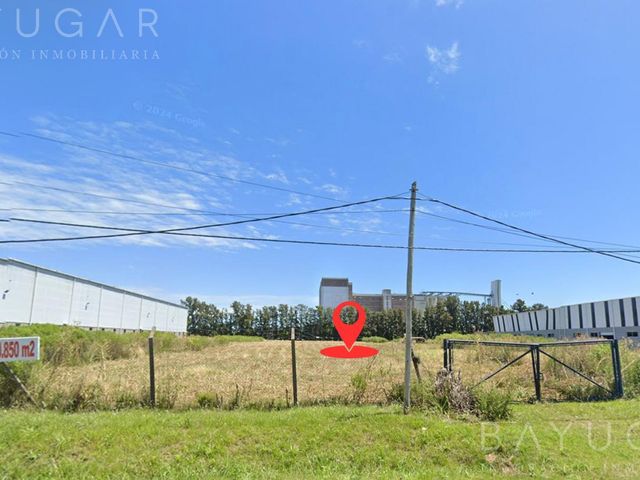 place photo 4