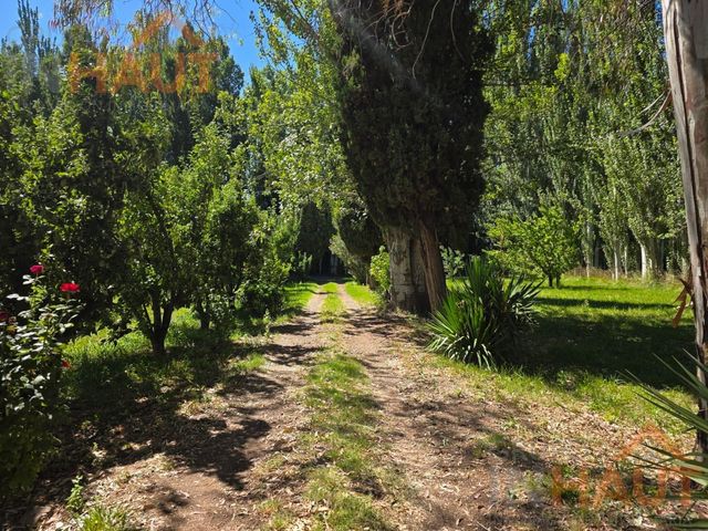 place photo 47