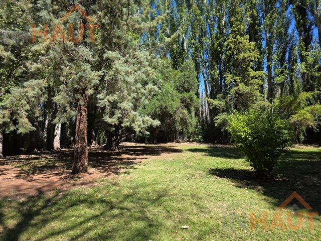 place photo 46