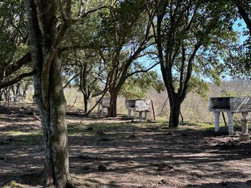 place photo 59