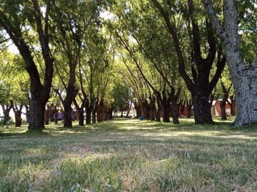 place photo 79