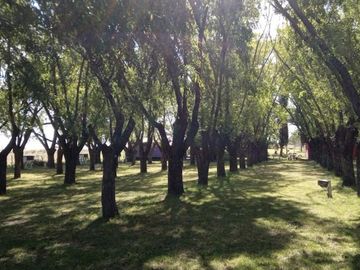 place photo 81