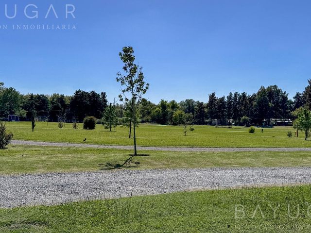 place photo 26