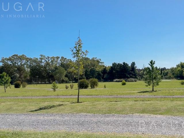 place photo 25
