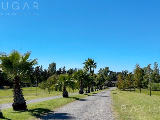 place photo 6