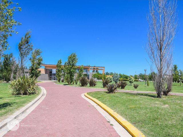 place photo 41