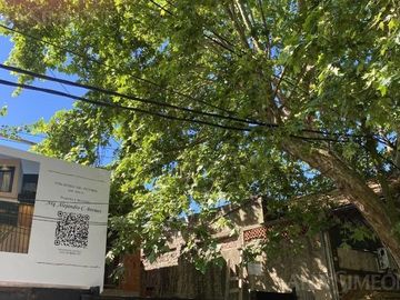 place photo 30
