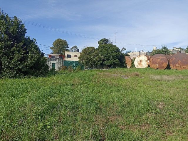 place photo 3