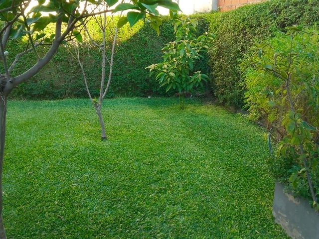 place photo 37