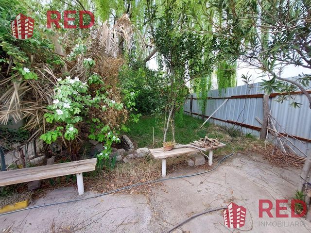 place photo 52
