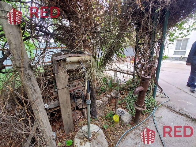 place photo 54