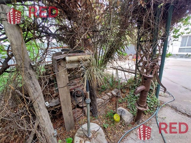 place photo 53
