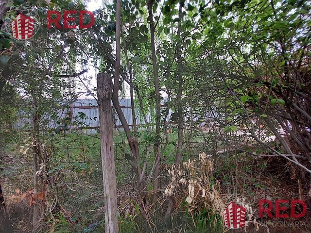 place photo 51