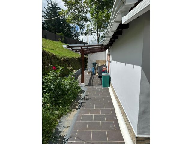 place photo 49
