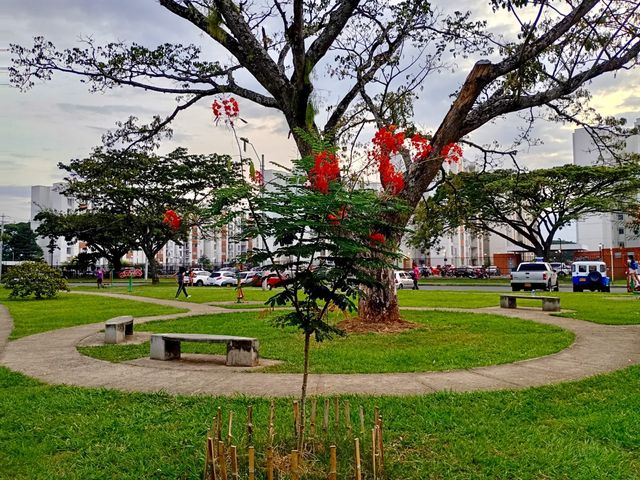 place photo 16
