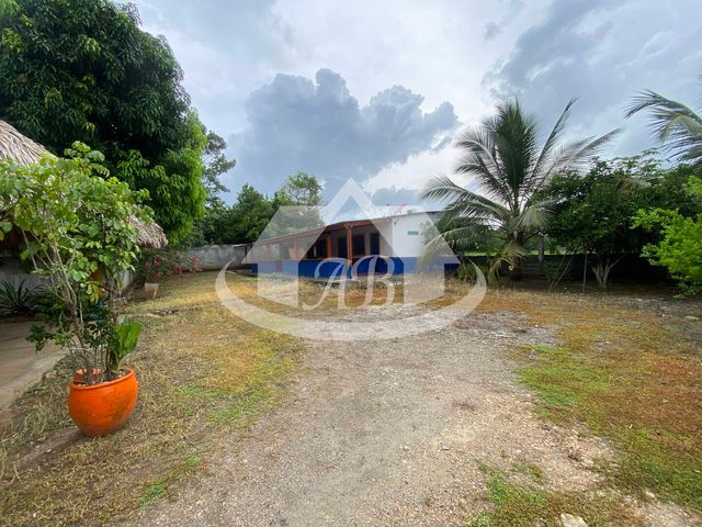 place photo 32