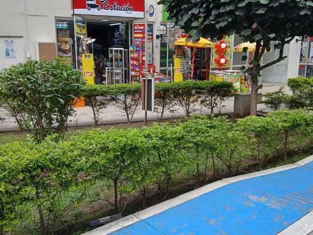 place photo 27