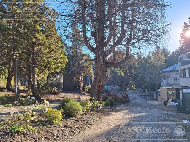 place photo 42