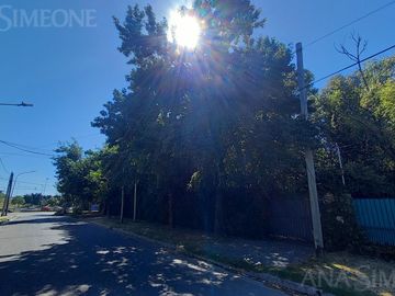 place photo 29