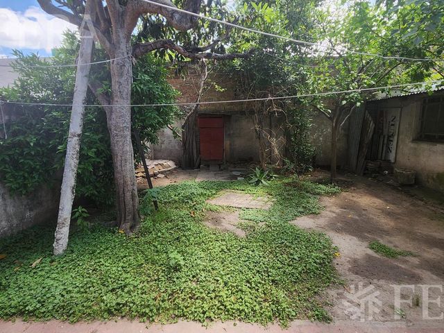 place photo 21