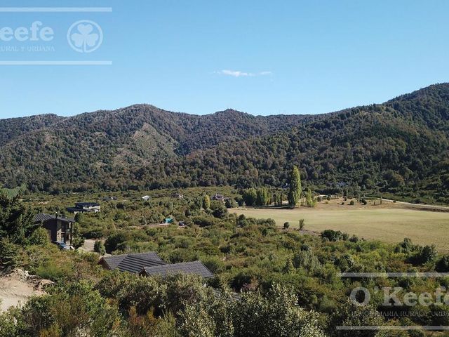 place photo 46